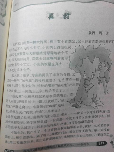 组成我和小动物400个单词
