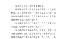 作文我喜欢百合花