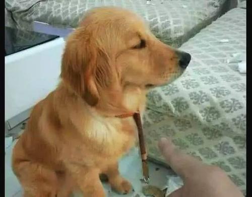 批评与手术