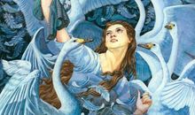 六只天鹅读后感