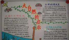 大自然的启示读后感