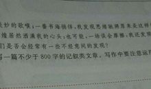 那一次我读懂了母爱作文