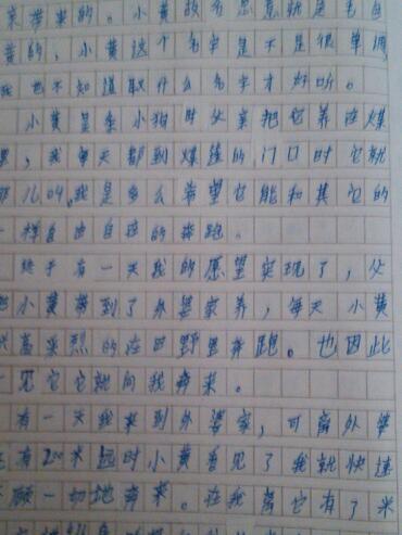 小动物作文200字