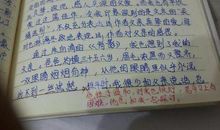 父母的爱作文200字