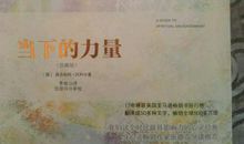 当下的力量读后感