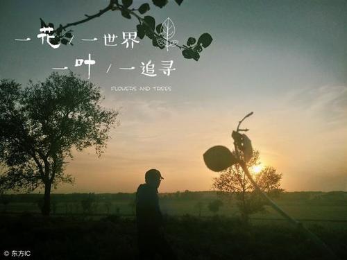 爱一个人的最好方法就是好好管理自己