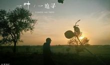 爱一个人最好的方式，是经营好自己