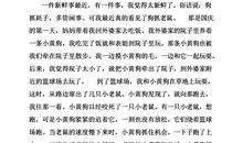 作文我家的新鲜事