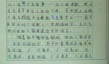 我的老师作文900字