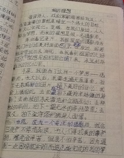 我理想的工程师