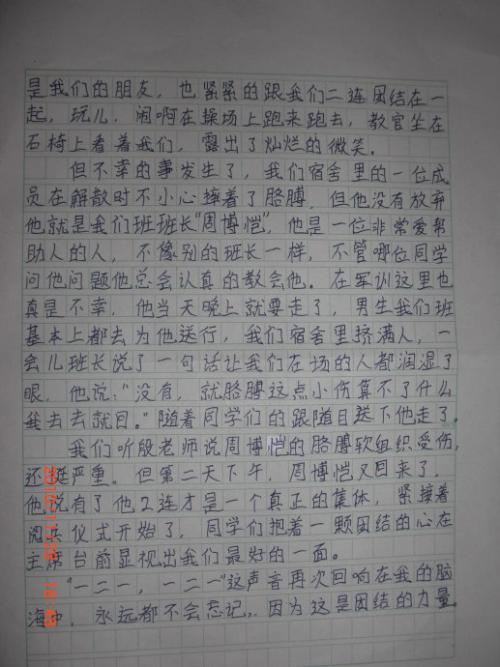 600字的文字