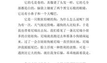 我喜欢的小动物作文200字