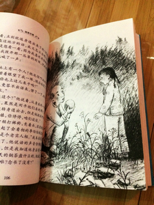 看完林海