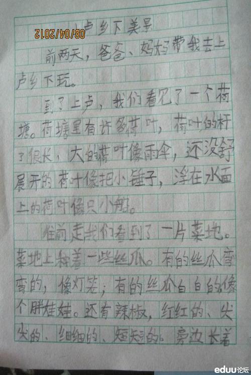 春天之美的组成
