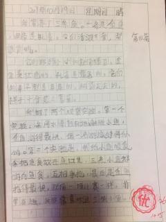 四年级观察日记