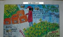 关于春天的日记