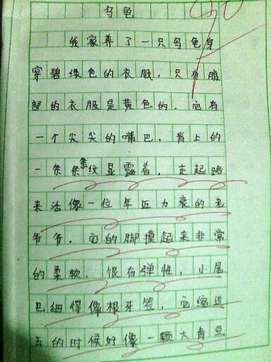 组成我最喜欢的小动物