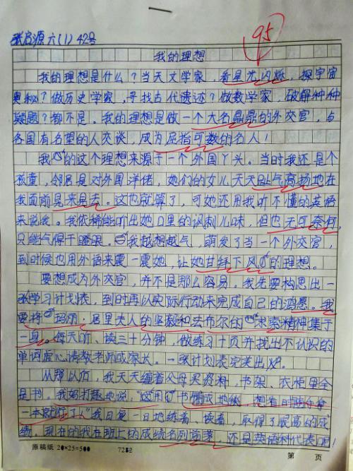 我理想的厨师