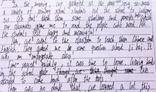 二年级作文我的爱好