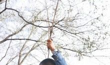 中国梦读后感1000字