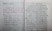 我不再害怕作文