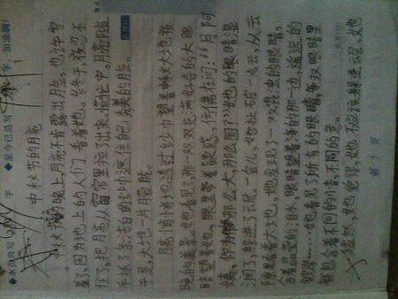 我不再孤单