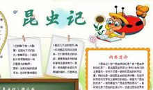 小学课外读后感