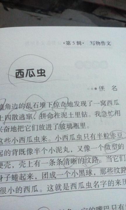 我最喜欢的小动物作文300字