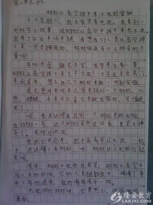 大自然的心