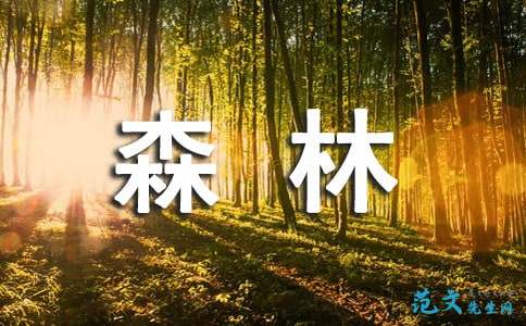 600字作文