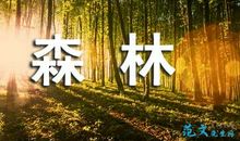 心里美滋滋的作文600字