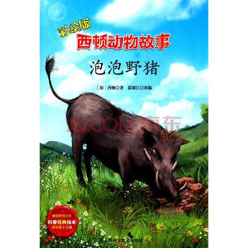 看完泡泡野猪