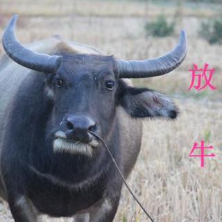 读完李汉荣