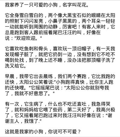 关于动物园的组成