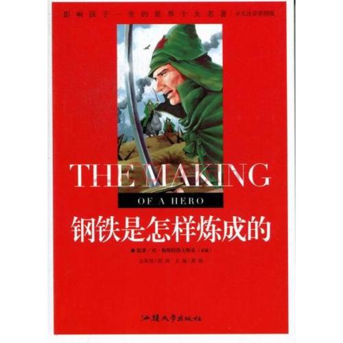 阅读红皮书后的100个字