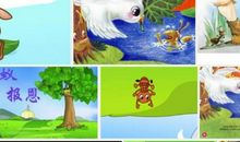 蚂蚁报恩读后感