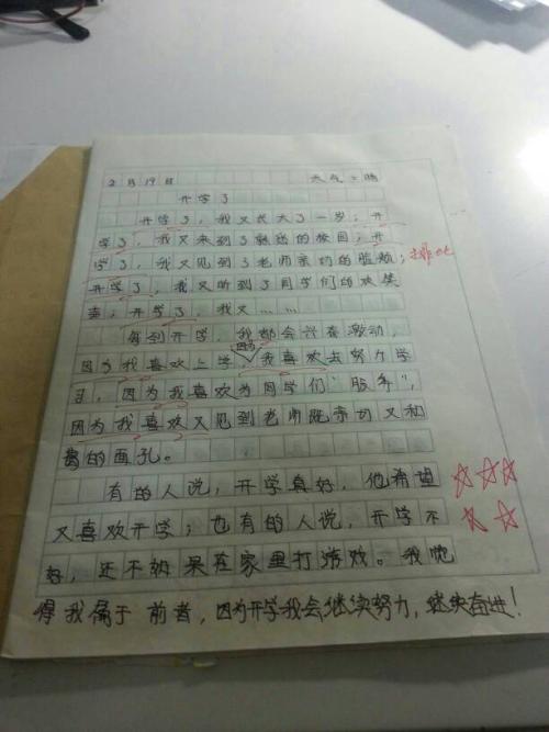 300个字