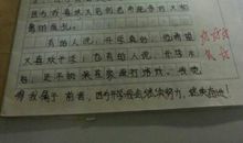 寒假日记大全300字