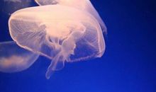 让人看出强势你就输了