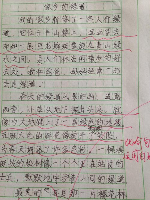 故乡风俗习惯
