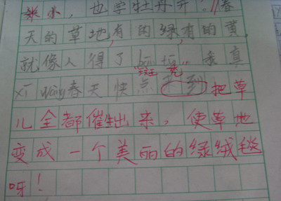 我哥哥100个字