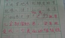 我的弟弟作文100字