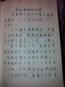 动物保护的组成