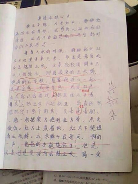 关于母爱的组成