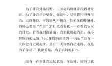 写父母的爱的作文