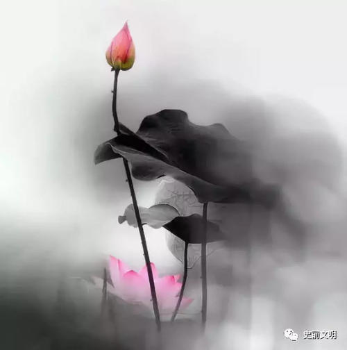 最高生活水平：宝浦和寿卓