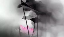 做人的最高境界：抱朴守拙