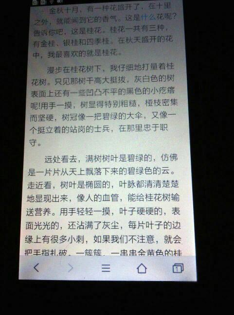 桂花作文600字