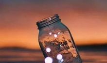 愿世间万物，再也伤不了你