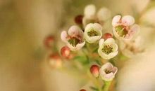 一诺一约一相守，一心一念一尘缘